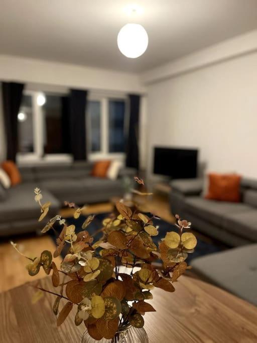 Beautiful Central Open Plan Living! 曼彻斯特 外观 照片